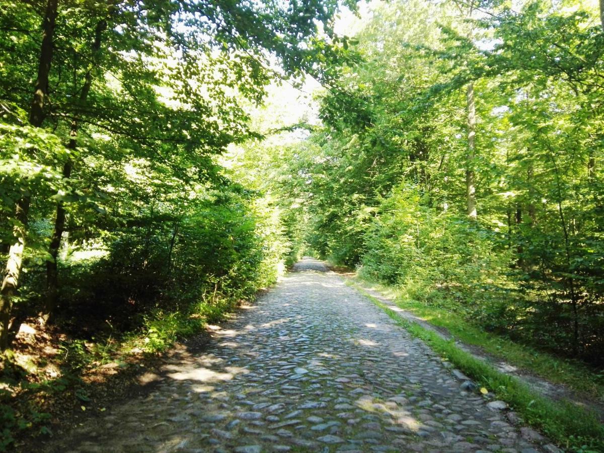 Agroturystyka Ginkgo Sulislaw  Exteriör bild